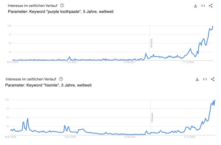 Google Trends Analyse 