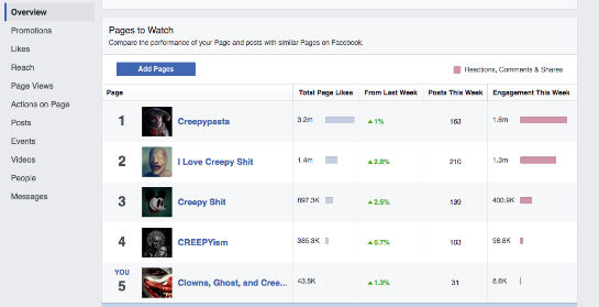 Konkurrenz Facebook-Nischenseite