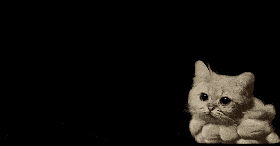 Und ab dafür: LittleThings kennt kein Mensch und doch startet der Facebook-Publisher mit Katzen-Content durch.