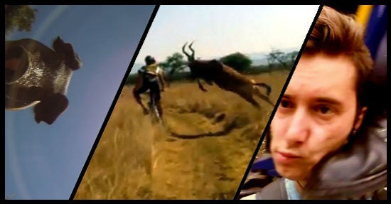Drei erfolgreiche Videos Jukin Media: (von links) "Camera falls from airplane and lands in pig pen",  "Mountain Biker gets taken out by Buck" und "Kicked in the head by a train" (Montage: OnlineMarketingRockstars)