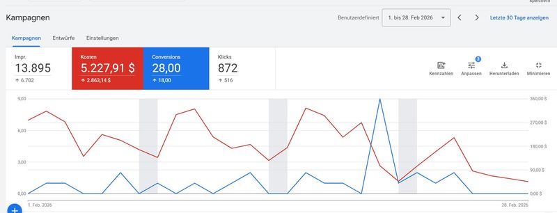 Screenshot Google Ads-Grants-Performance