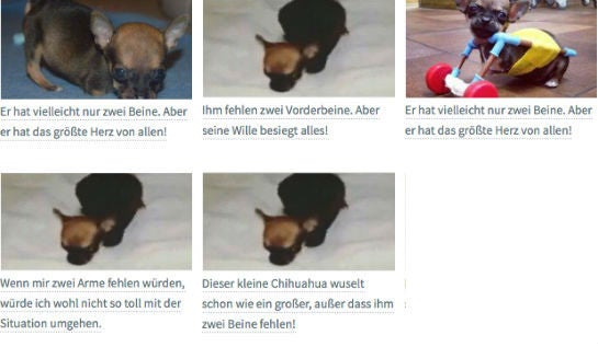 hund_mit_zwei_beinen