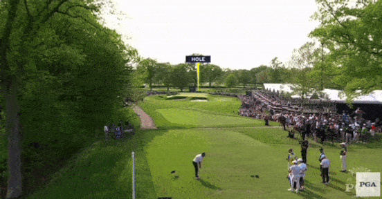 michael_block_hole_in_one