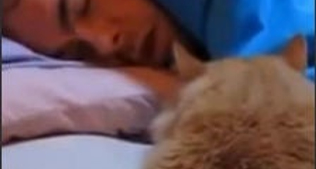 fruehstueck_featured