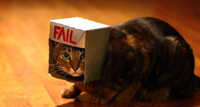 (Foto: Chuck Olsen / Flickr / CC BY 2.0)
