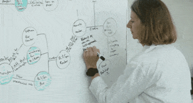 GIF: Mindmapping