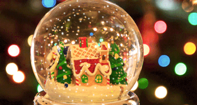 550_Google-Weihnachts-Trends-AUF