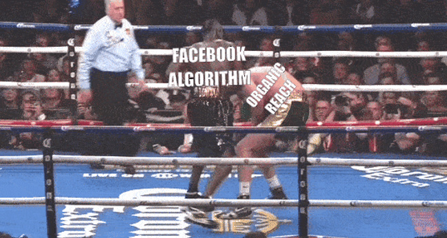 facebook_organic_reach_comeback