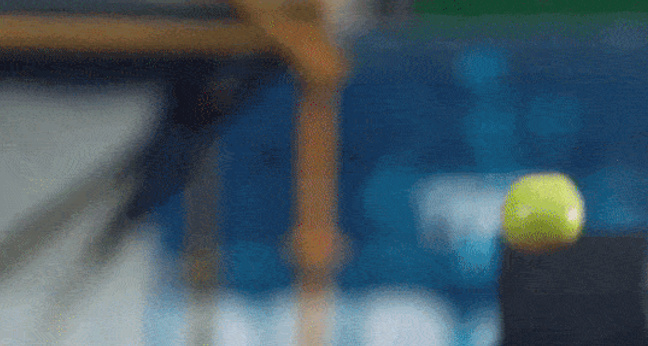 apple_collision_optimized