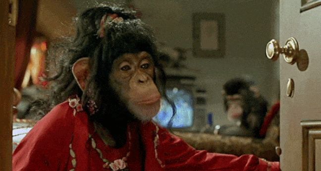 Bau Dein Business GoDaddy Videopodcast Forest Gum Thomas Kraemer