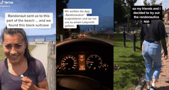 randonautica_complete_unoptimized_550x587