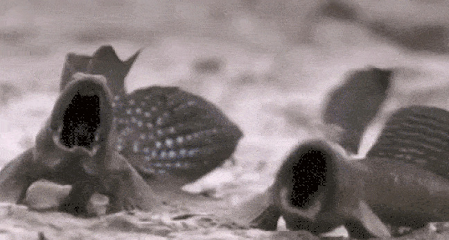 550_Schlammschlacht2