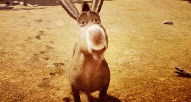 The Wonky Donkey Kinderbuch Viralhit OMR