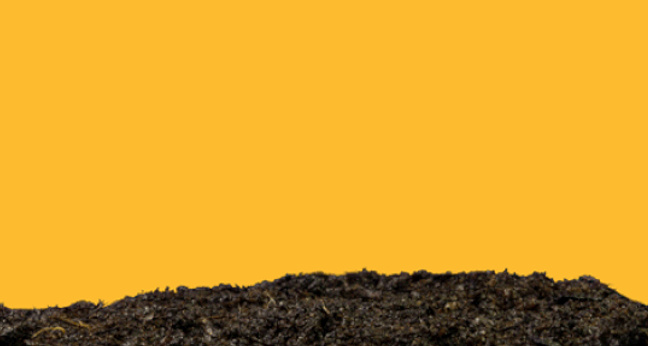 Utopiade Nachhaltigkeit Meike Gebhard OMR