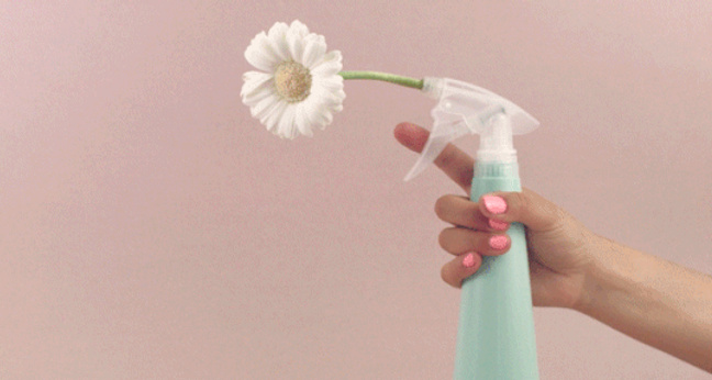 Sebastian Johnston Vivere GmbH OMR Podcast Westermeyer