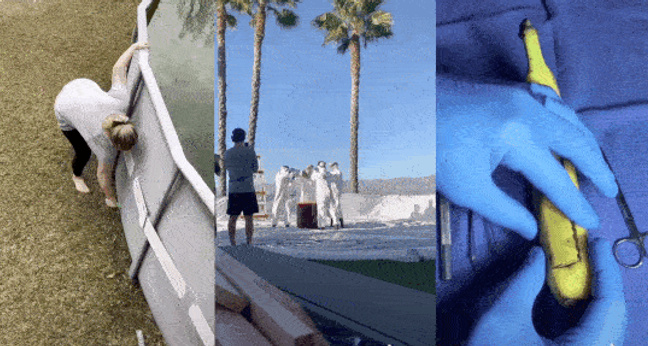 tiktok_viral_top3_2019