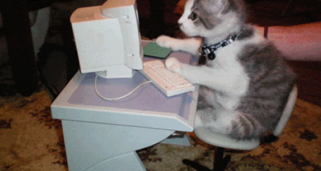 GIF: Home-Office