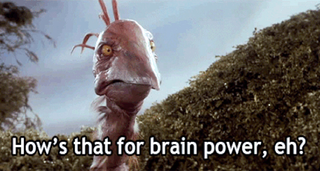 GIF: Emotionale Intelligenz