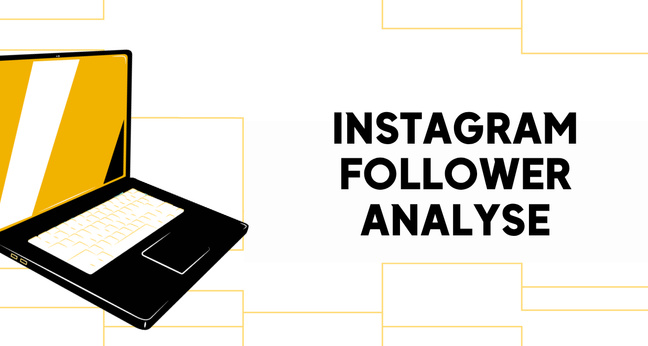 Instagram Follower Analyse