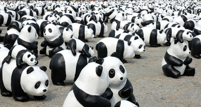 ASO Report Foodpanda Titel