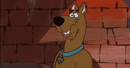 Tractive GPS Tracking OMR Podcast Philipp Westermeyer Michael Hurnaus