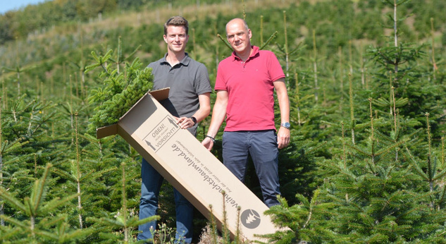 weihnachtsbaumland_muetherich_risse_1190x650