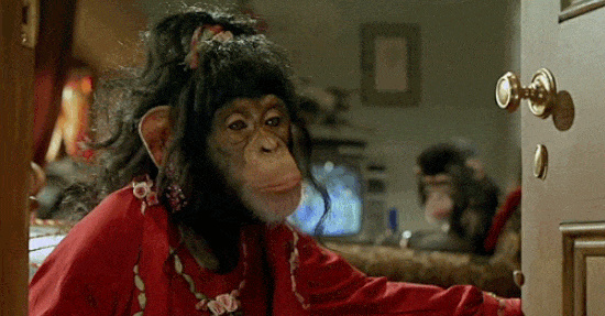 Bau Dein Business GoDaddy Videopodcast Forest Gum Thomas Kraemer