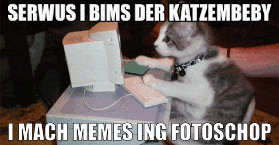 I-bims-Vong-Artikel.gif.pagespeed.ce.3QS85twhpQ