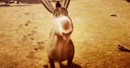 The Wonky Donkey Kinderbuch Viralhit OMR