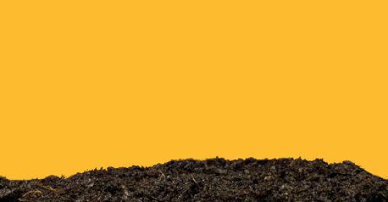 Utopiade Nachhaltigkeit Meike Gebhard OMR