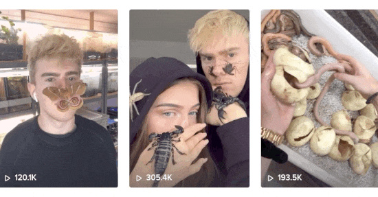 Adrian Kozakiewicz Insecthaus GNTM OMR