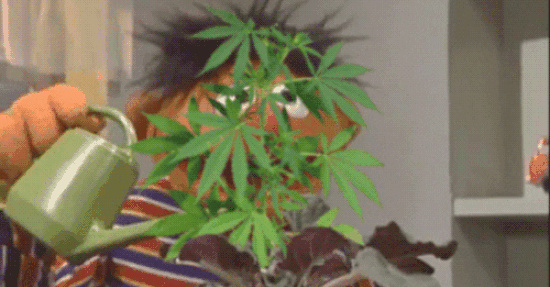 OMR-Podcast-Finn-Age-Haensel-Sanity-Group-Vaay-Philipp-Westermeyer