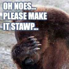 bear_facepalm_featured