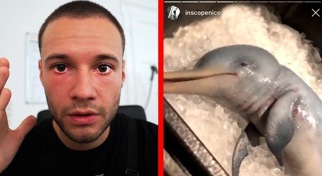 Inscope Baby Delfin Marketing Prank TankTank Flow Fwd OMR