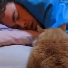 fruehstueck_featured