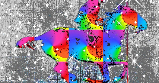 ezgif.com-optimize (1)