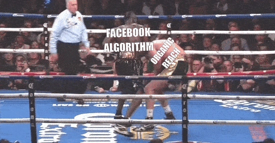 facebook_organic_reach_comeback