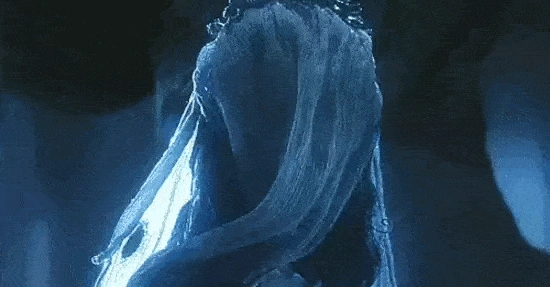 corpse_bride_veil_lifted