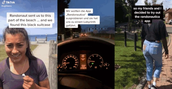 randonautica_complete_unoptimized_550x587