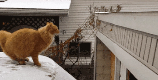 Mondelez Marketing Fail