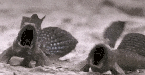 550_Schlammschlacht2