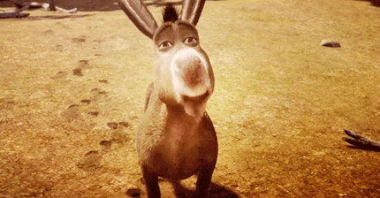 The Wonky Donkey Kinderbuch Viralhit OMR