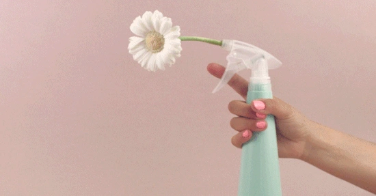 Sebastian Johnston Vivere GmbH OMR Podcast Westermeyer