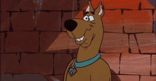 Tractive GPS Tracking OMR Podcast Philipp Westermeyer Michael Hurnaus