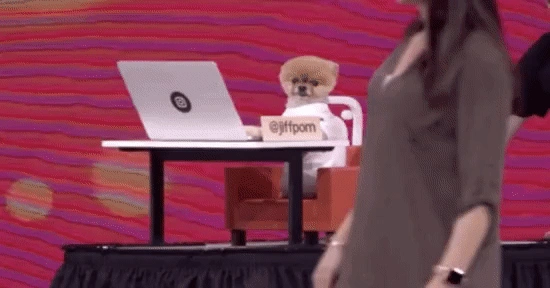 Jiffpom Petfluencer