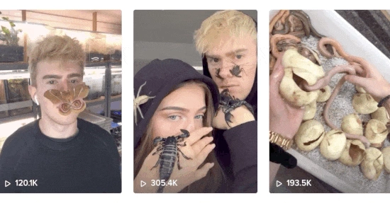 Adrian Kozakiewicz Insecthaus GNTM OMR