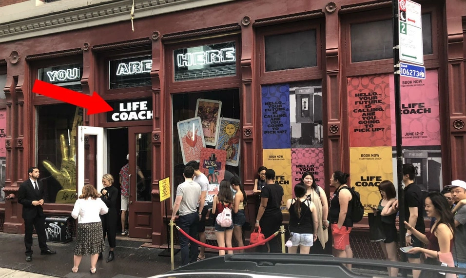 weste_ny_finale_life_coach