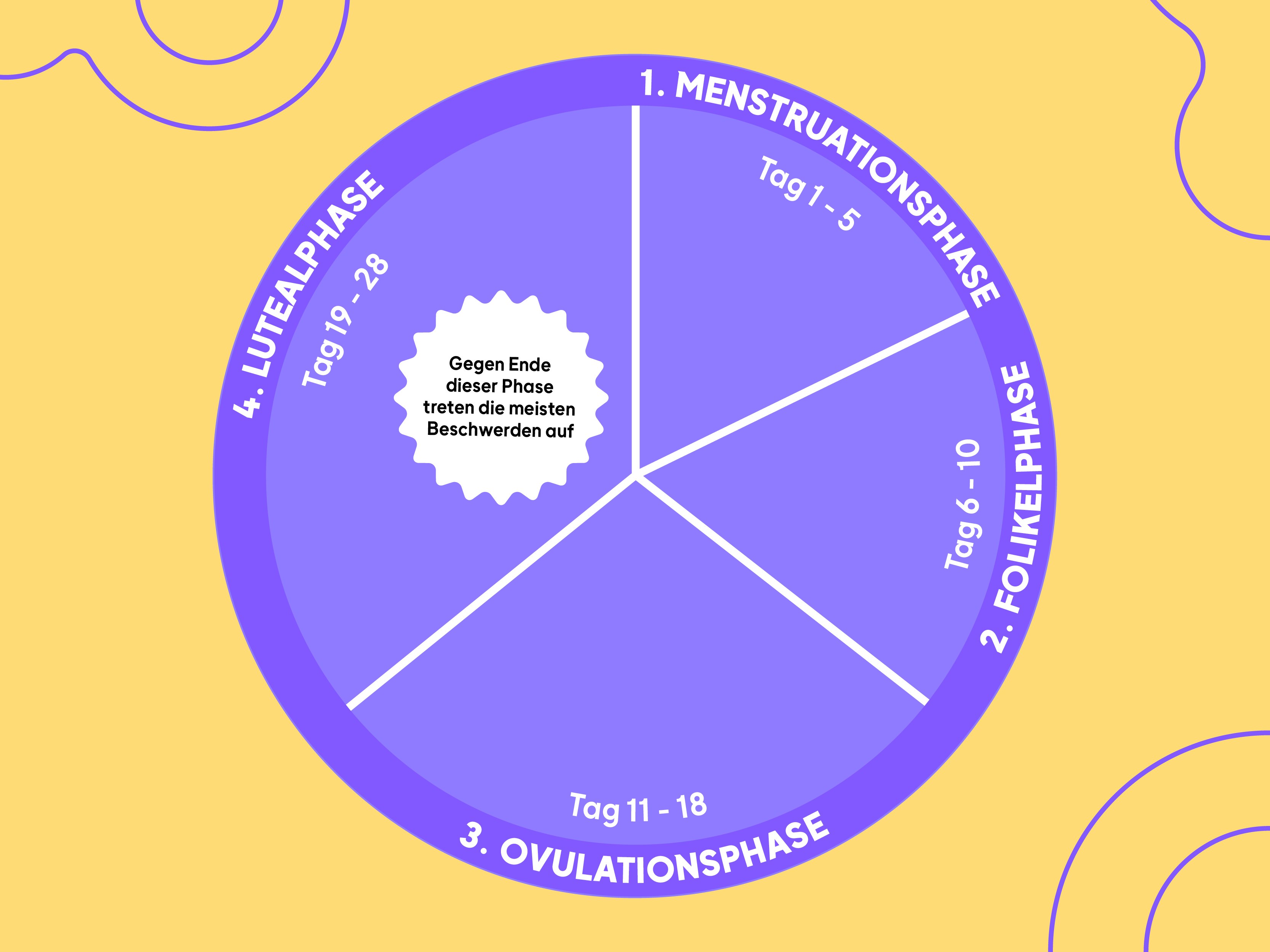 Kreisdiagramm mit vier farblich abgesetzten Abschnitten, die die Zyklustage 1 bis 28 den Phasen Menstruation, Follikelreifung, Ovulation und Lutealphase zuordnen.