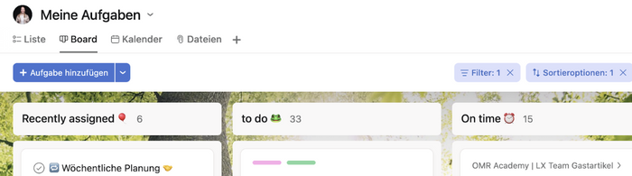 Asana Board Übersicht