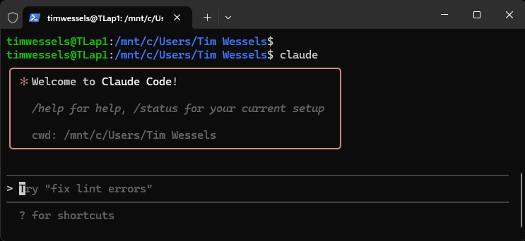 Oberfläche von Claude Code nach dem Start 